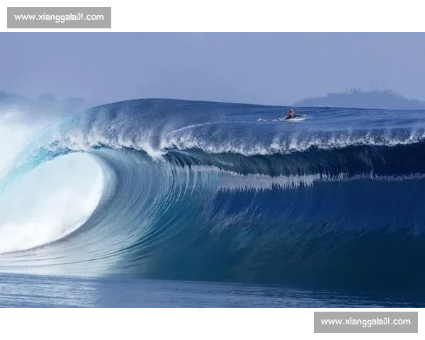 全球运动赛事大分类探索：从奥林匹克到极限运动的全面解析