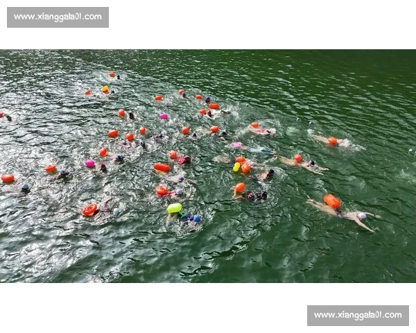 天津游泳比赛激发城市运动热潮青少年选手同场逐浪展现速度与梦想