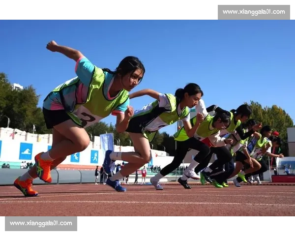 大连篮球赛季精彩回顾 球队激战呈现青春风采与竞技激情