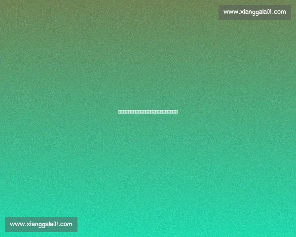 如何参加以德杯比赛及其规则详解从准备到参赛全过程