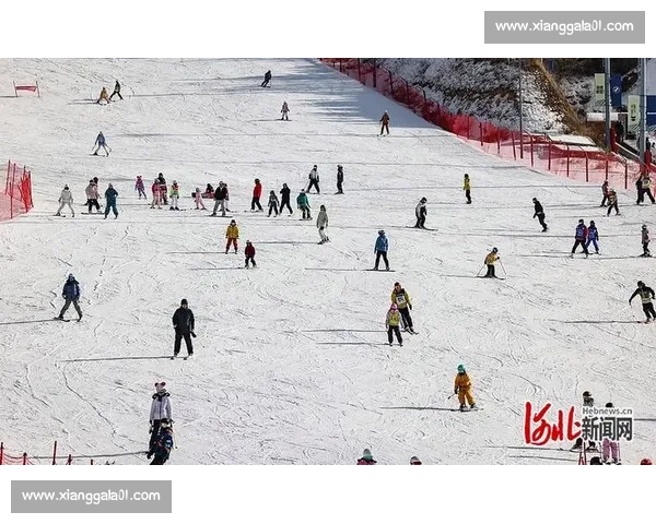 崇礼滑雪赛精彩纷呈冰雪运动盛宴全面展现冬季竞技魅力