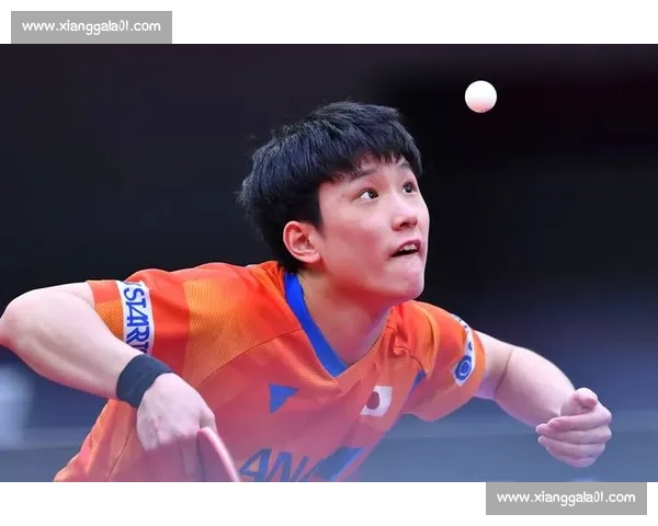 张本智和与波尔激战连场乒乓赛风云对决精彩纷呈 张本智和与波尔激战连场乒乓赛风云对决精彩纷呈