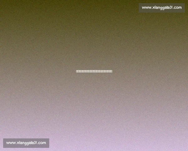 徐小东散打比赛精彩回顾：挑战强敌展现实力与勇气