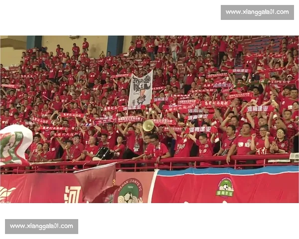 建业队全力拼搏赛场风采激发球迷热情与期待 建业队全力拼搏赛场风采激发球迷热情与期待